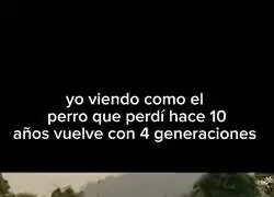 Aumentó la descendencia