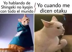 Si lo soy pero no me gusta el título