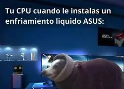 Que friíto