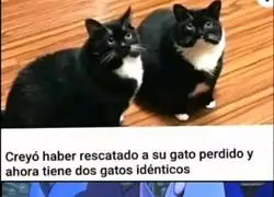 El gemelo malvado