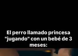 "Sólo te está conociendo"