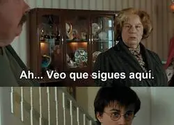 Está en el nombre, querida