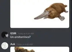 ¿Por qué me rio yo de estas cosas?