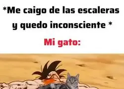 Incapaces de sentir culpa