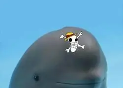 Laboon, aguanta un poco más