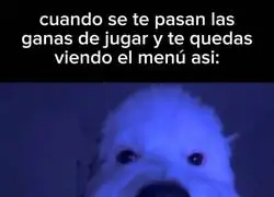 ¿Ahora qué hago con mi vida?