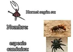 Definiendo a Hornet