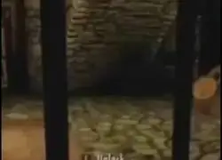 El guardia con más Swag de todo Tamriel