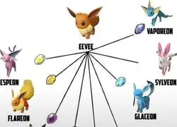 Tienes tantos estilos...